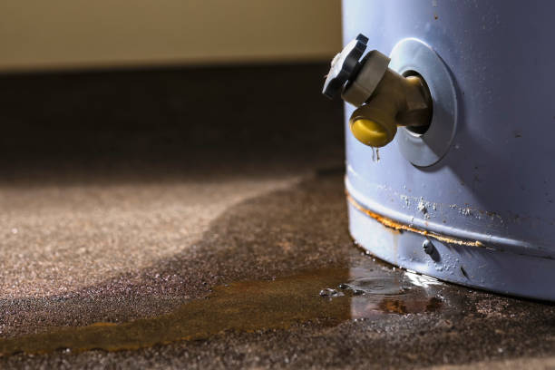 Best Professional water damage repair  in Mira Monte, CA