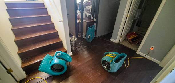 Best Ceiling water damage repair  in Mira Monte, CA