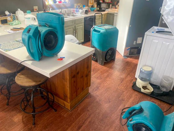 Best Flood damage cleanup  in Mira Monte, CA