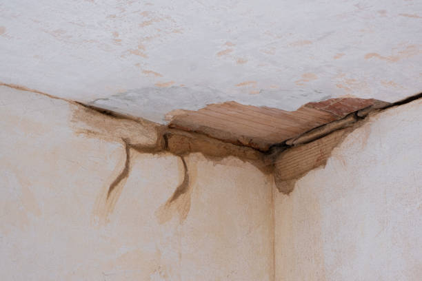 Best Water damage mitigation services  in Mira Monte, CA