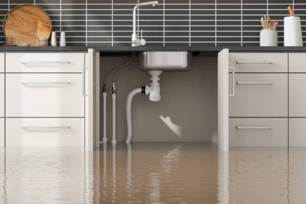 Best Emergency water damage restoration  in Mira Monte, CA