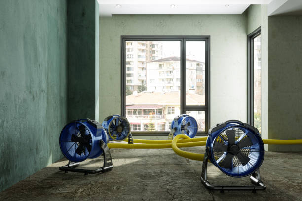 Best Basement water damage restoration  in Mira Monte, CA